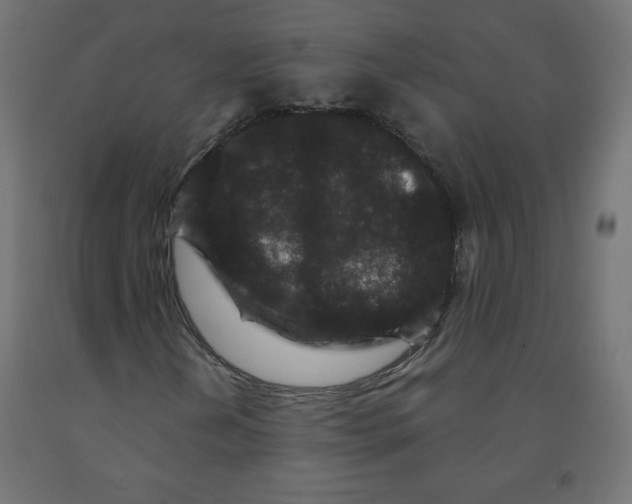 X0000091951202200710041001