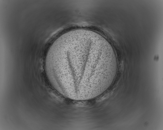 X0000091951205200710041001