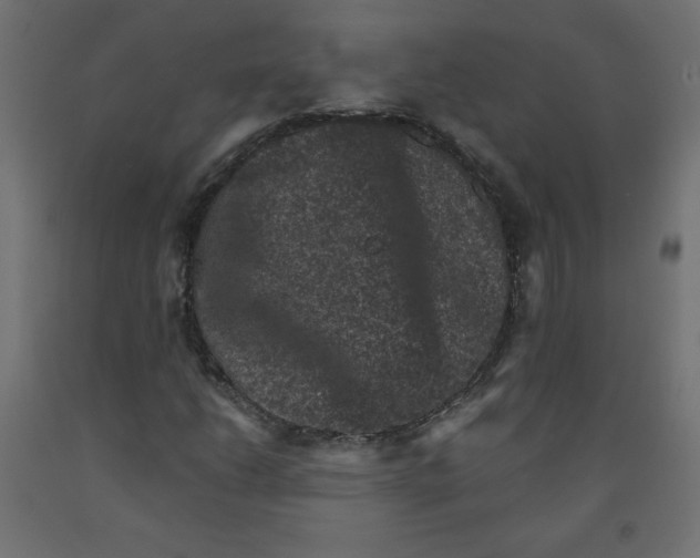 X0000091951206200710041001