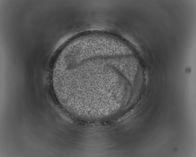 X0000091951208200710041001