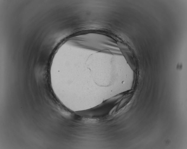 X0000091951210200710041001