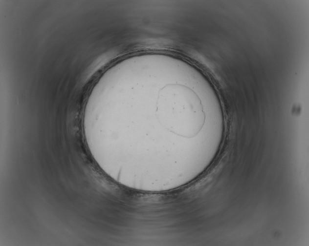 X0000091951211200710041001