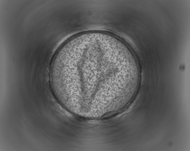 X0000091951212200710041001