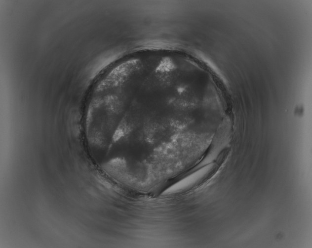 X0000091951213200710041001