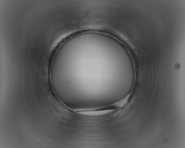 X0000091951214200710041001