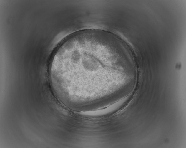 X0000091951215200710041001