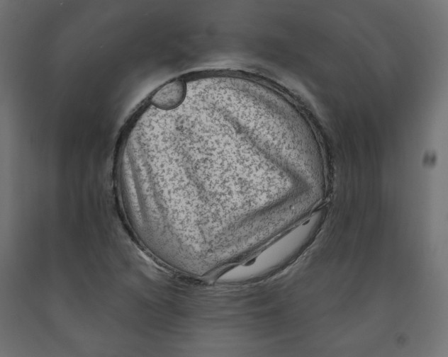 X0000091951216200710041001
