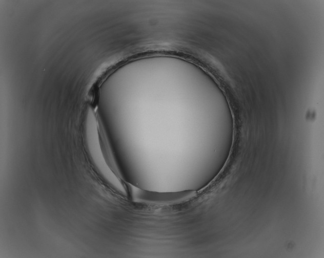 X0000091951218200710041001