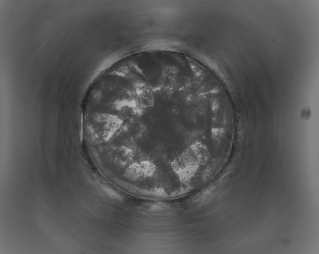 X0000091951219200710041001
