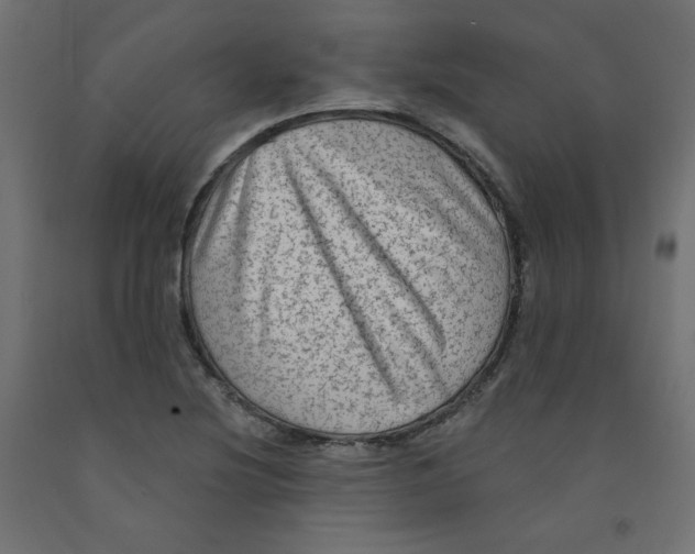 X0000091951220200710041001