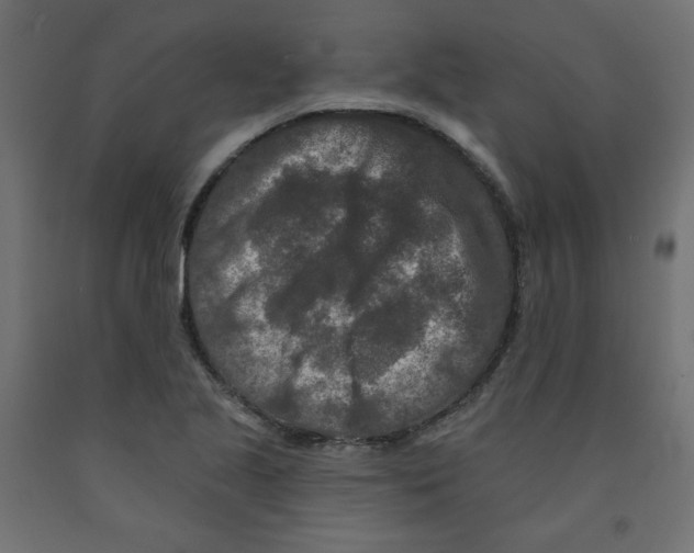 X0000091951221200710041001