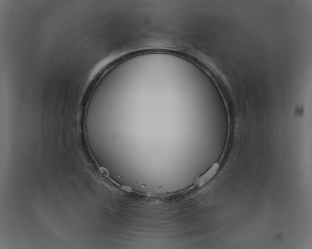 X0000091951222200710041001