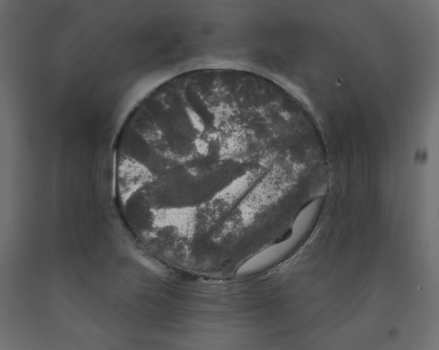 X0000091951223200710041001