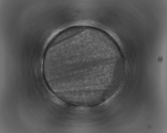 X0000091951224200710041001