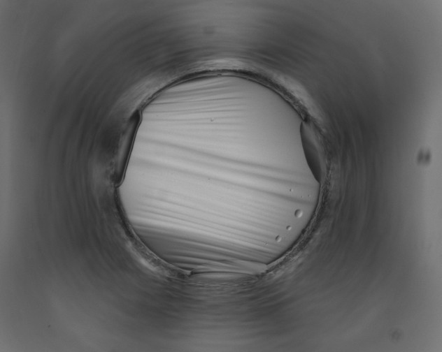 X0000091951225200710041001