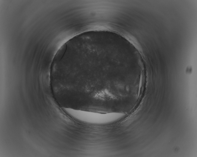 X0000091951226200710041001
