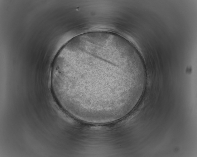 X0000091951227200710041001