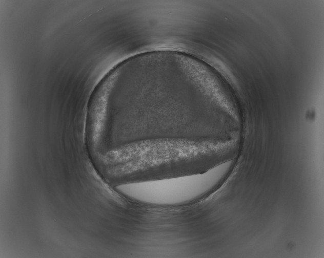 X0000091951228200710041001