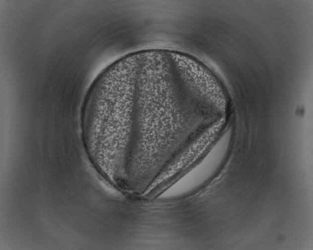 X0000091951230200710041001