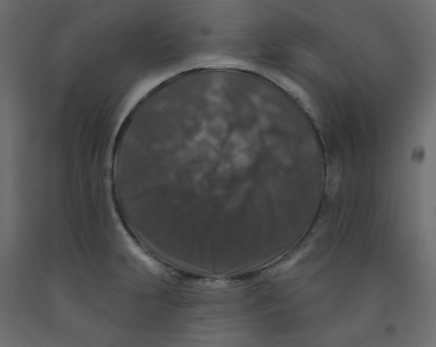 X0000091951231200710041001