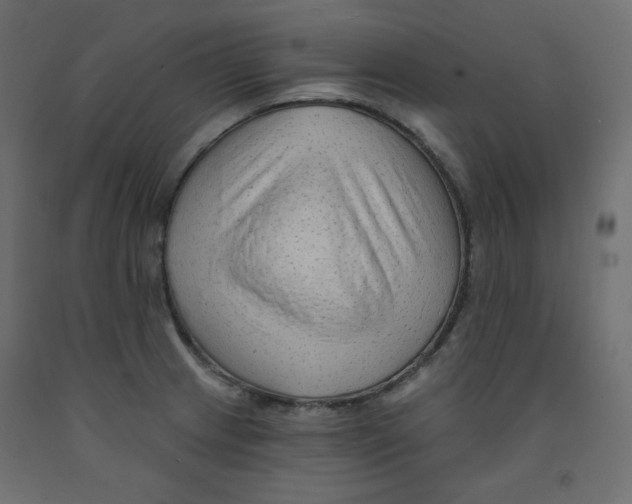 X0000091951233200710041001