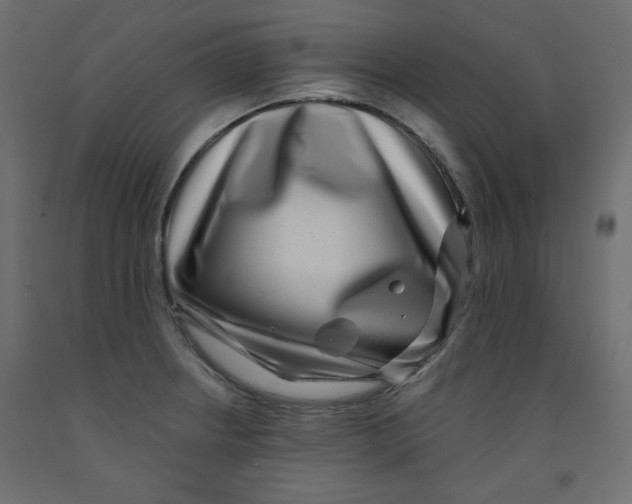X0000091951234200710041001