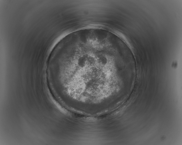 X0000091951235200710041002