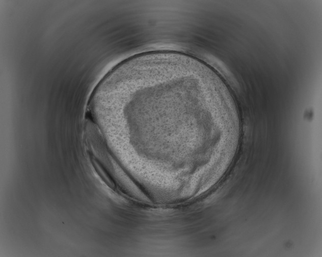 X0000091951236200710041002