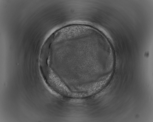 X0000091951237200710041002