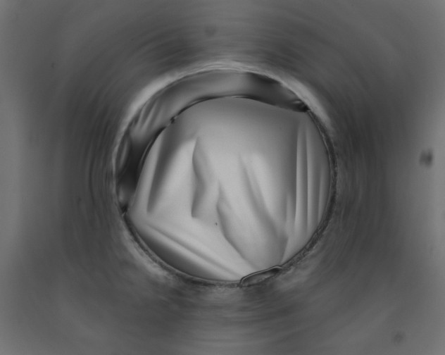 X0000091951238200710041002