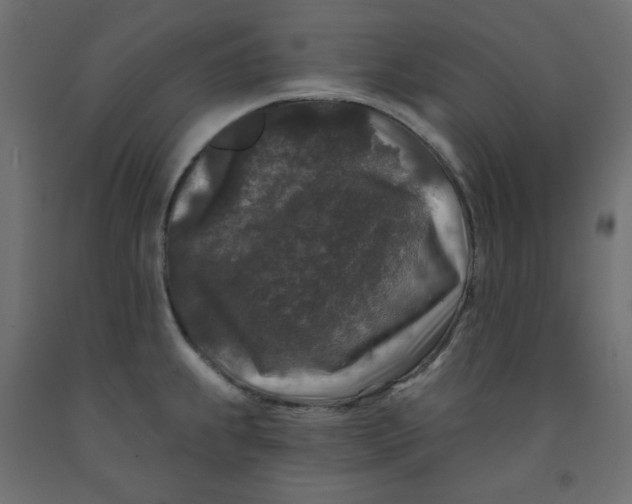 X0000091951239200710041002