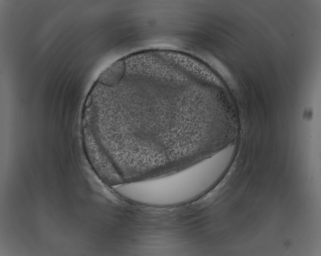 X0000091951240200710041002