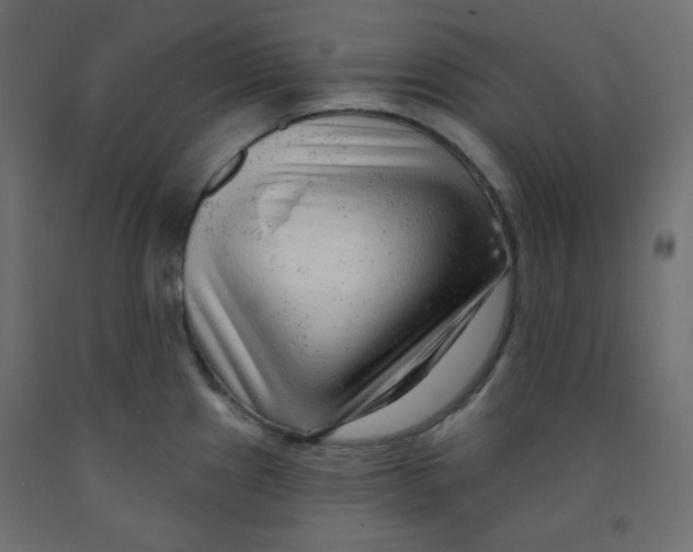 X0000091951241200710041002