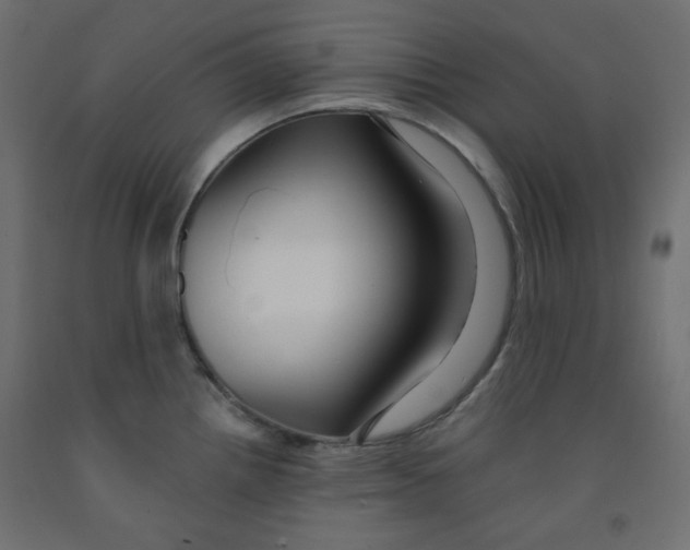 X0000091951242200710041002