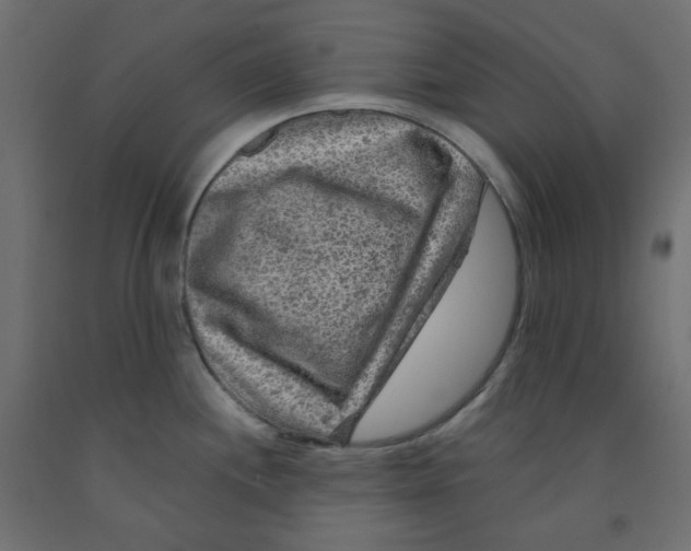 X0000091951244200710041002