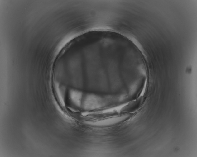 X0000091951245200710041002