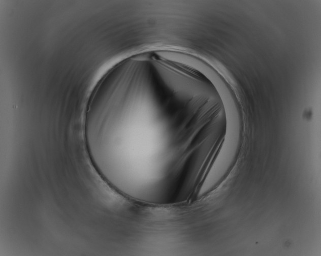 X0000091951246200710041002