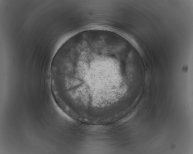 X0000091951247200710041002