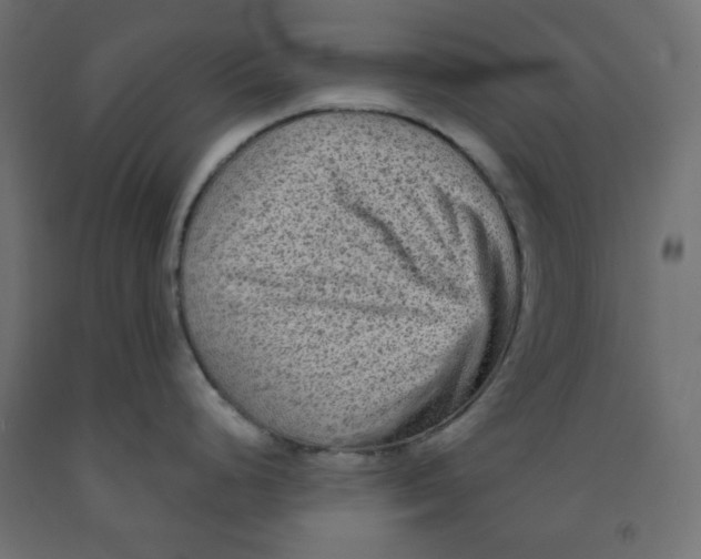 X0000091951248200710041002