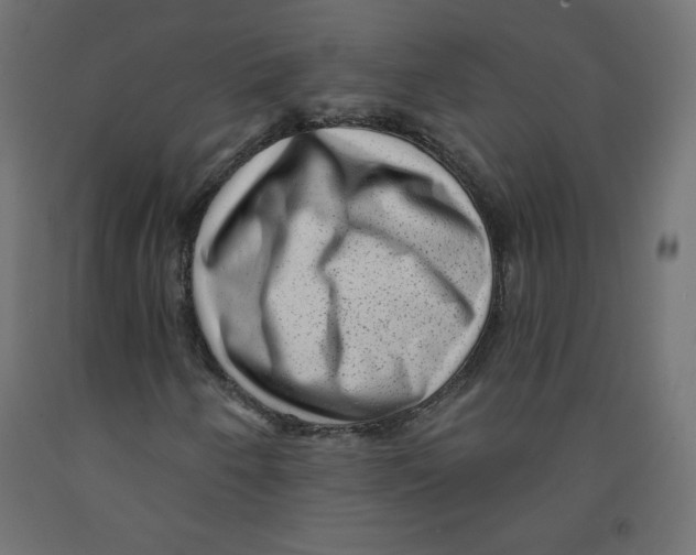 X0000091951250200710041001