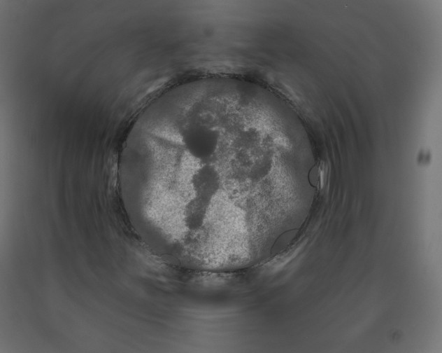 X0000091951251200710041001