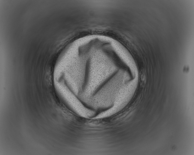 X0000091951252200710041001