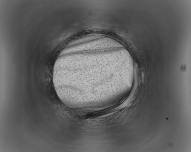 X0000091951253200710041001
