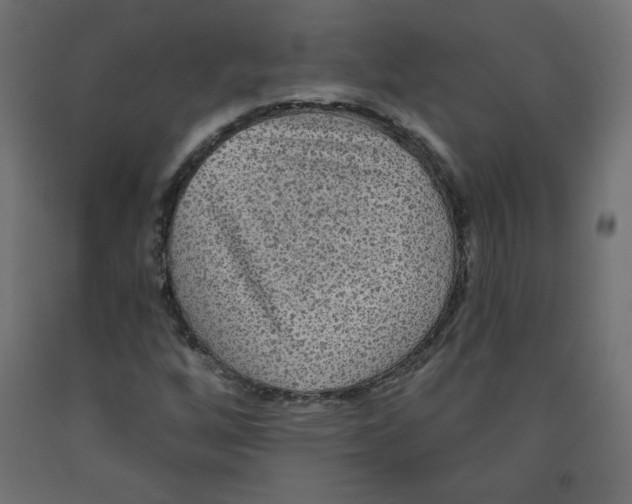 X0000091951256200710041001