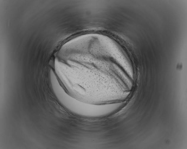 X0000091951257200710041001