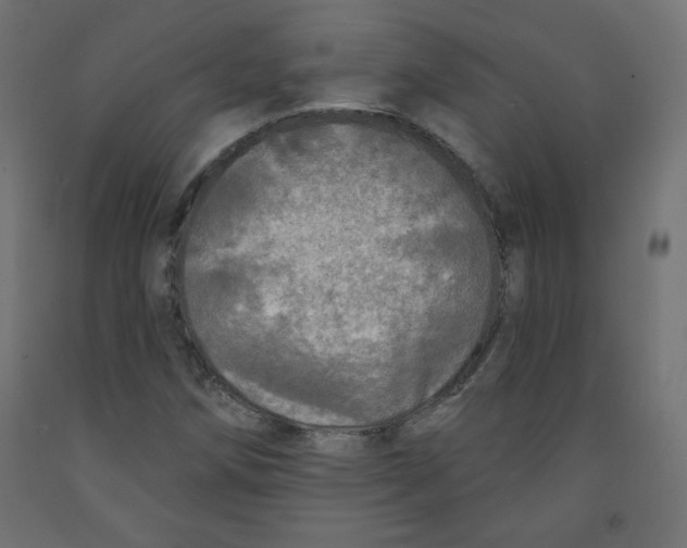 X0000091951258200710041001
