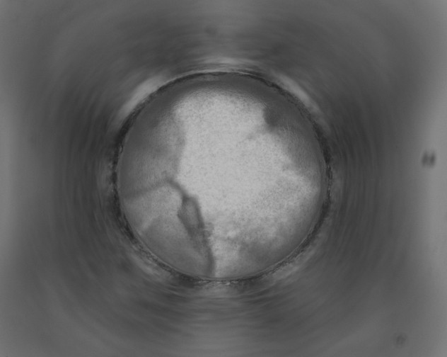 X0000091951259200710041001