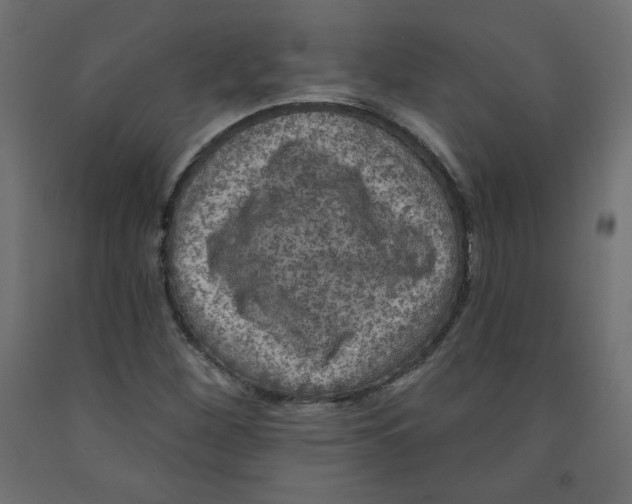 X0000091951260200710041001