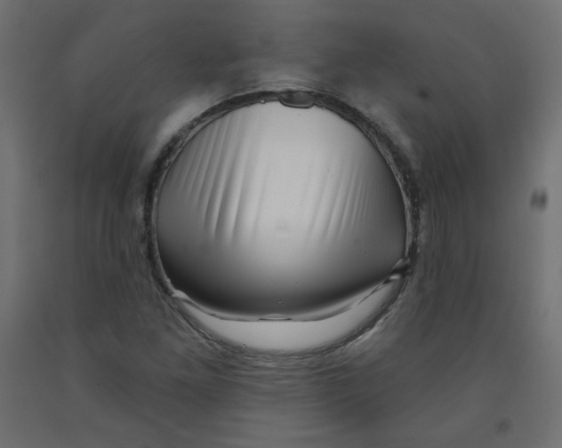 X0000091951261200710041001