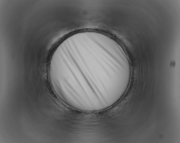 X0000091951262200710041001